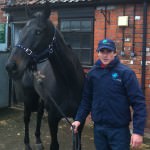 black horse and the man with hat